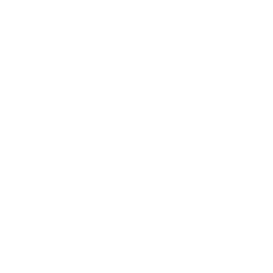 Ulta Beauty, Inc. Share Price